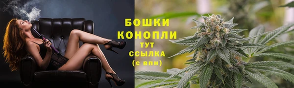 PSILOCYBIN Волоколамск